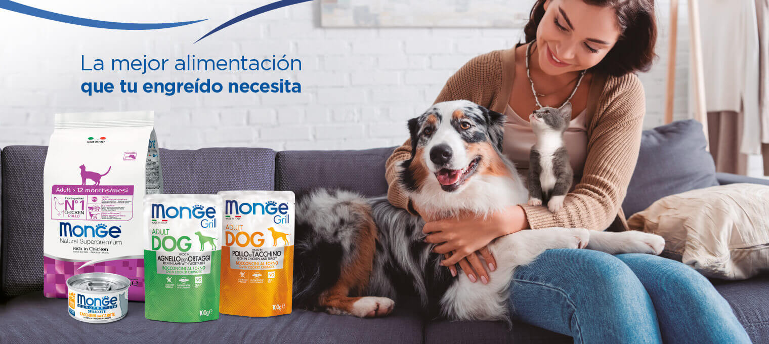 La mejor alimentación que tu engreído necesita